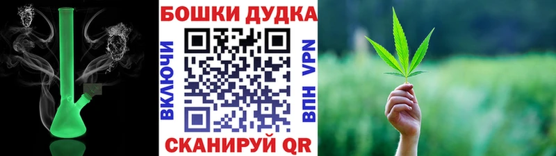Наркошоп Новозыбков Бошки Шишки  СК  ГАШИШ  БУТИРАТ  Кокаин  МЕФ  omg как войти  АМФ 