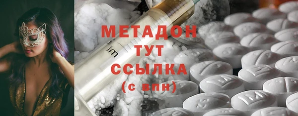 индика Новозыбков