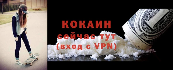 индика Новозыбков