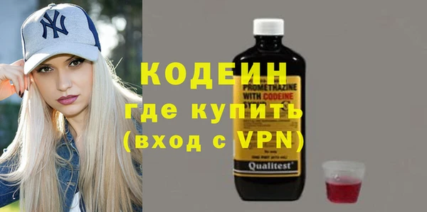 индика Новозыбков