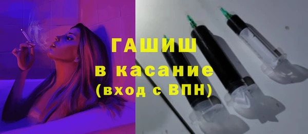 индика Новозыбков