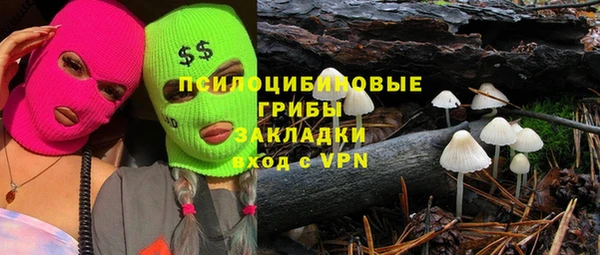 индика Новозыбков