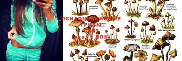 mix Новодвинск
