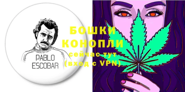 индика Новозыбков