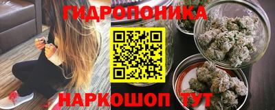 Альфа ПВП Бийск