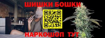 Альфа ПВП Бийск