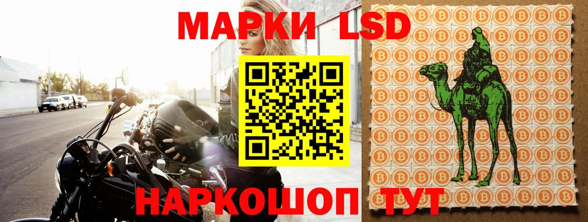 Лсд 25 экстази ecstasy  Вход с VPN  ЛСД экстази ecstasy  МЕГА ТОР  Новозыбков 