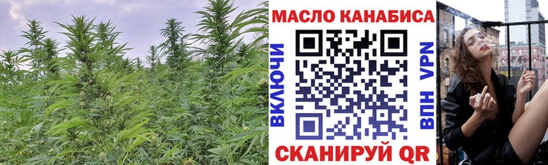 купить наркотики цена  Новозыбков  OMG   Дистиллят ТГК вейп 