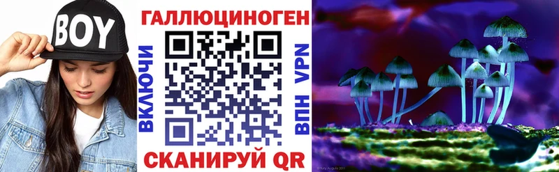 Псилоцибиновые грибы Psilocybe наркота Новозыбков