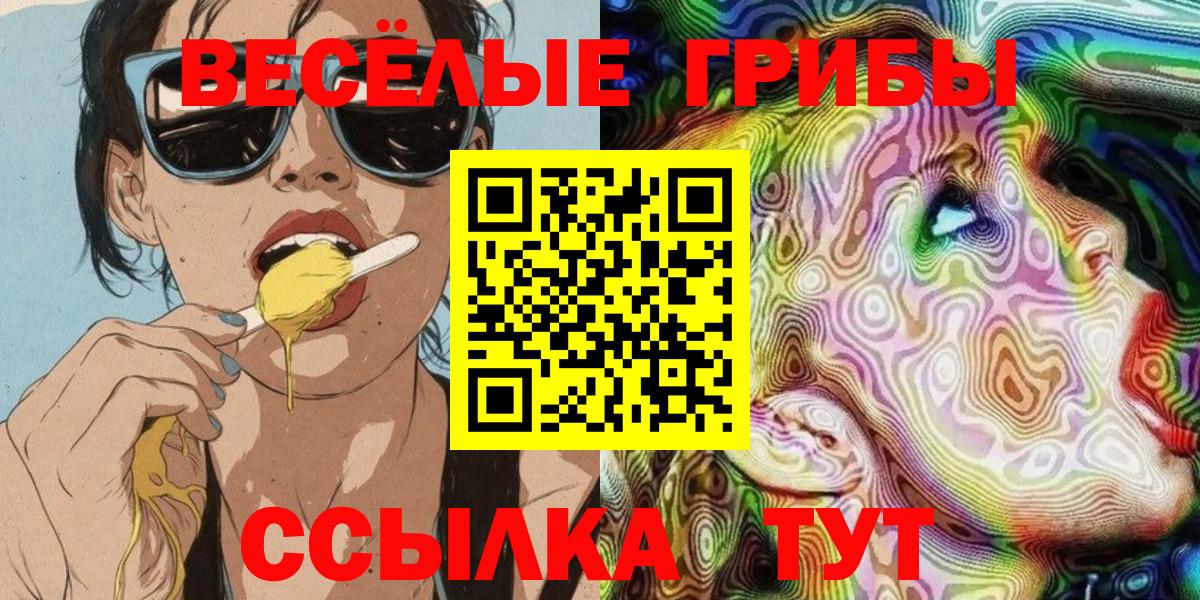 как найти закладки  Галлюциногенные грибы прущие грибы  Новозыбков  Галлюциногенные грибы Cubensis 
