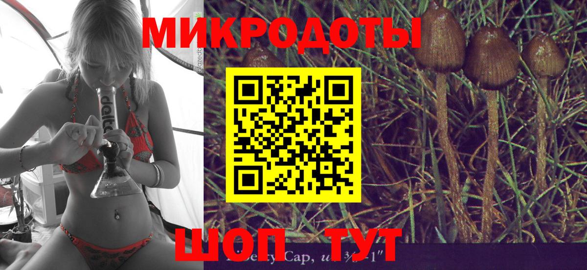 Галлюциногенные грибы Cubensis Новозыбков